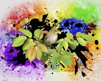 Color Bird Fine Art Print