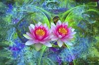 Color Explosion 12 Fine Art Print