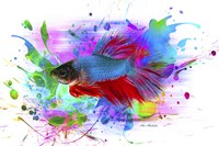 Fish and colors Fine Art Print