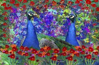 Peacock 1 Fine Art Print