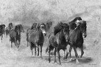 Wild Horses 2 Fine Art Print