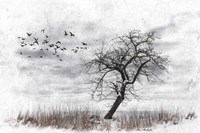 Dead Winter Tree 2 Fine Art Print
