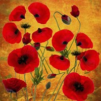 Poppy Flowers 2 Fine Art Print