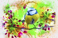 Spring Bird 2 Fine Art Print