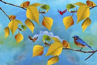 Autumn Season Fine Art Print