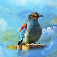 Blue Bird 2A Fine Art Print
