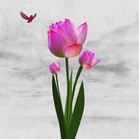 Flower Design 7ABC Fine Art Print