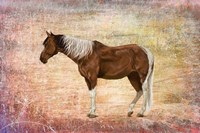 Horse Image Fine Art Print