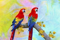 Parrots 87A Fine Art Print