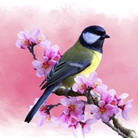 Spring Bird 3A Fine Art Print
