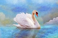 Swab 8B Fine Art Print