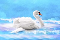 Swan 8A Fine Art Print