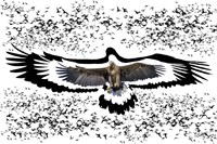 The Black Birds 1 Fine Art Print