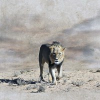 The King 2A Fine Art Print