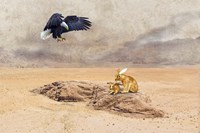 The King Of Sky Fine Art Print