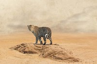 The Leopard 2 Fine Art Print