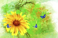 Yellow Flower And Butterflies Fine Art Print