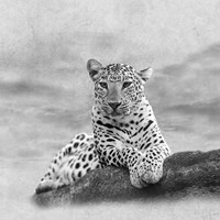 The Leopard 2A2 Fine Art Print