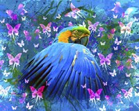 Bird In Color Fine Art Print