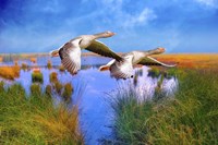 Birds In Nature Fine Art Print