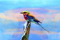 Blue Bird 2B Fine Art Print