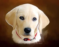 Dog 1A Fine Art Print