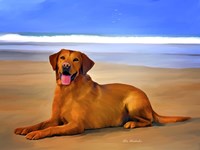 Dog 2A Fine Art Print