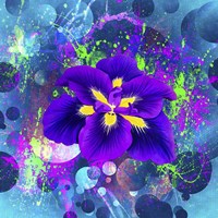 Flower Design 4AX Fine Art Print