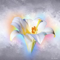 Flower On Colors 1 Fine Art Print