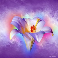 Flower On Colors 2 Fine Art Print