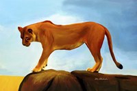 Lioness On A Rock 1 Fine Art Print