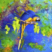 Parrot And Colors Fine Art Print