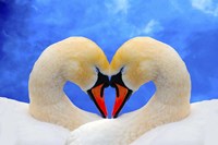 Soul mate Fine Art Print