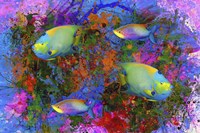 Fish Art 3 Fine Art Print