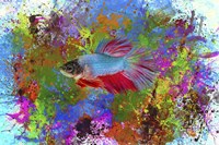 Fish Art 5 Fine Art Print