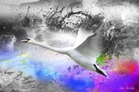 Black And White To Color Fine Art Print