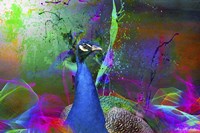 Color Explosion CM7 Fine Art Print