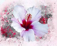Flower Design 6MN Fine Art Print