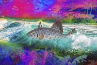 Giant Fish Fine Art Print