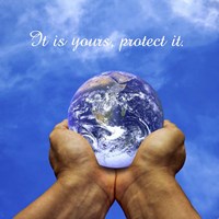 Protect It Framed Print