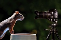 Smile Fine Art Print