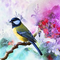 Bird Collection 1 Fine Art Print