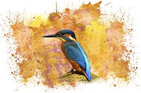 Bird Collection 2 Fine Art Print