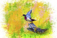 Bird Collection 3 Fine Art Print