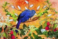 Bird Collection 5 Fine Art Print