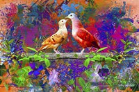 Bird Collection 7 Fine Art Print