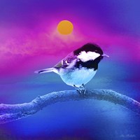 Bird Collection 8 Fine Art Print