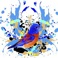 Bird Collection 13 Fine Art Print
