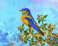 Bird Collection 15 Fine Art Print