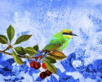 Bird Collection 16 Fine Art Print
